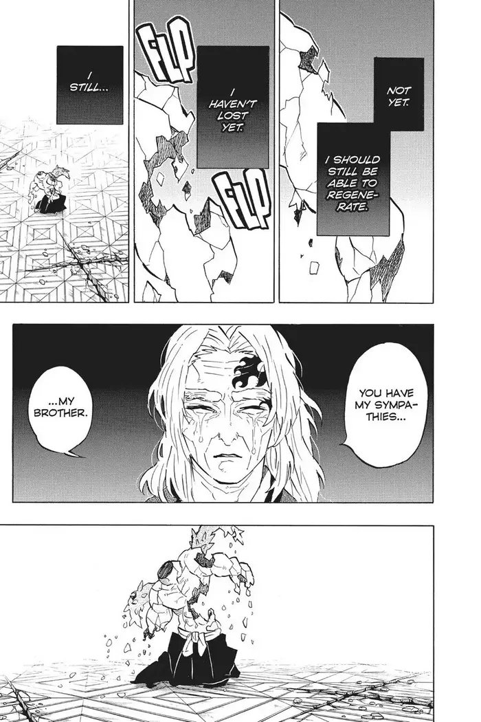 Demon Slayer Chapter 176 image 17_optimized